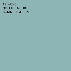 #8DB5B5 - Summer Green Color Image